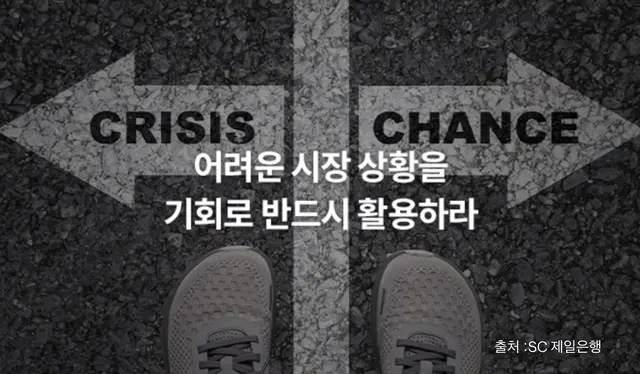 다각화 된 포토폴리오 이미지